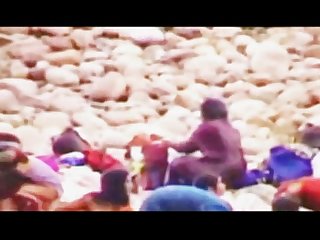 Desi Bathing Bunnies