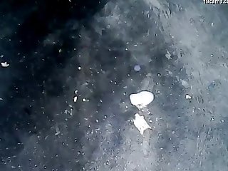 Cute desi indian teen helps her not sister to orgasm